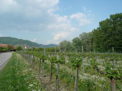 Weissenkirchen